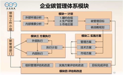 大型控排企業碳資產管理體系pdf